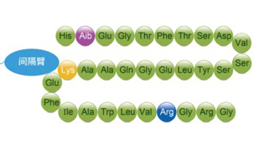 【案例登录】纳微颗粒化学系统在ADC药物高效生产