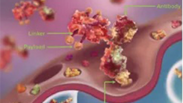 革命性突破！新有机硅载药纳米技术为肿瘤药业带来9倍效能，有效成分持续释放率突破！