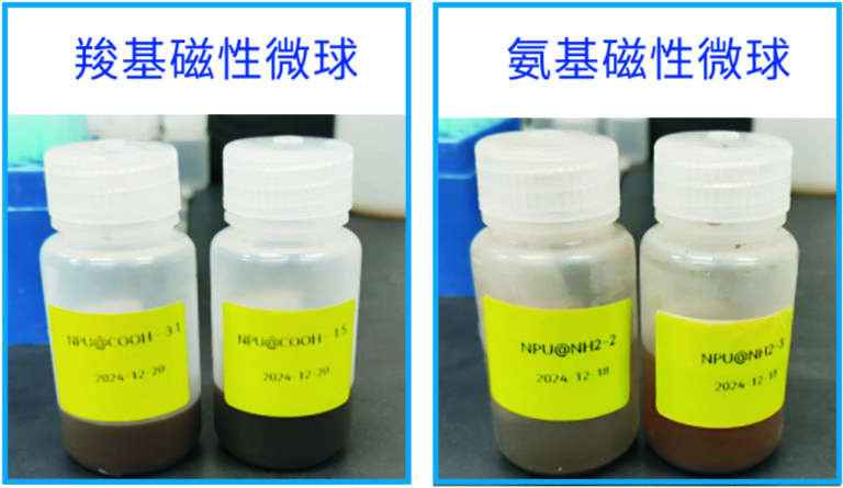 ZJ-7-101 磁性聚合物微球