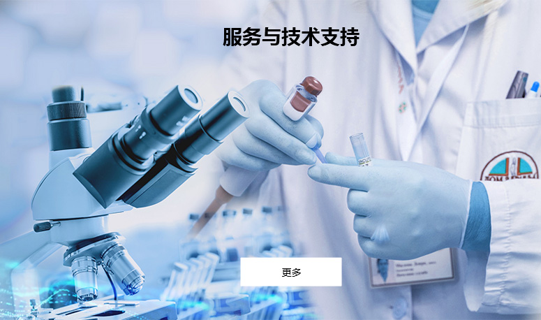 服务与技术支持